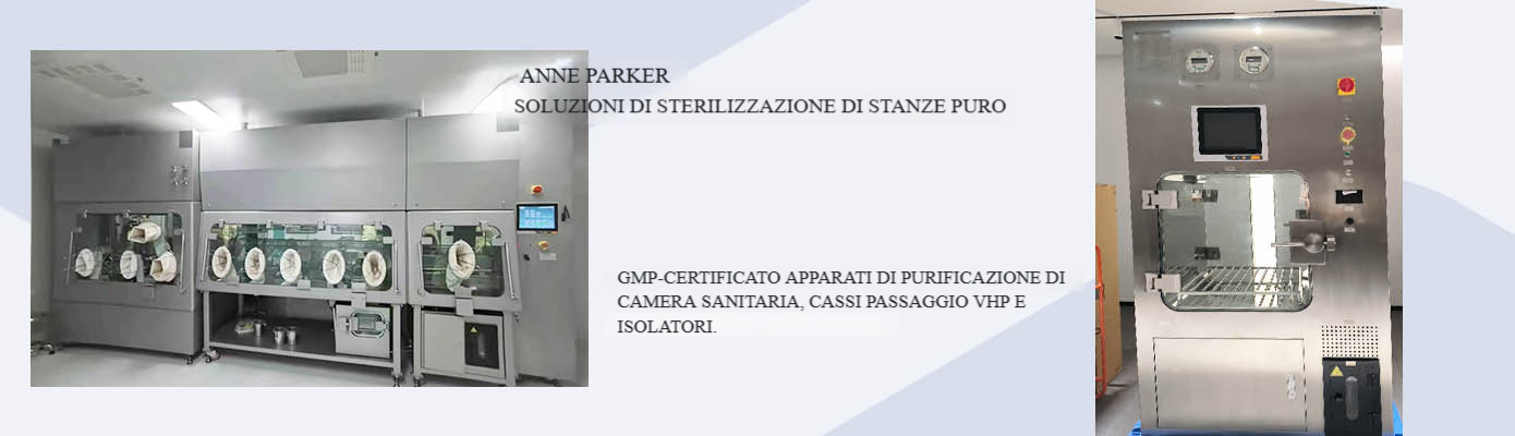 VHP pass through box